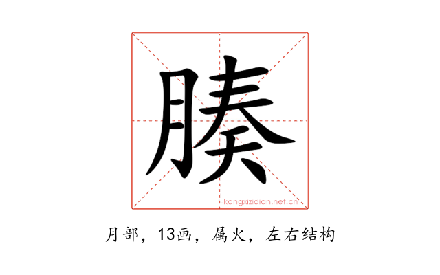 腠