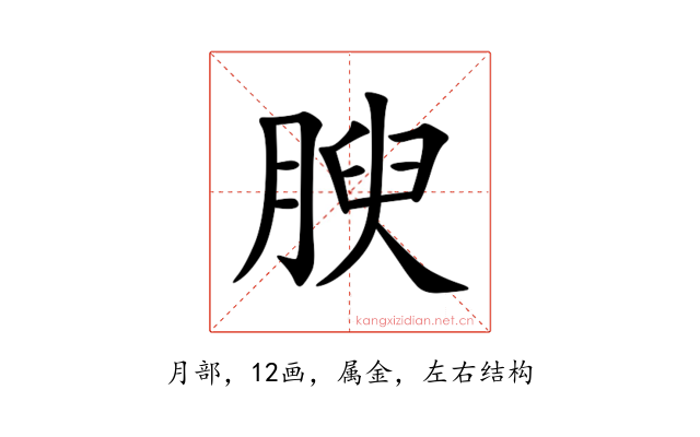 腴