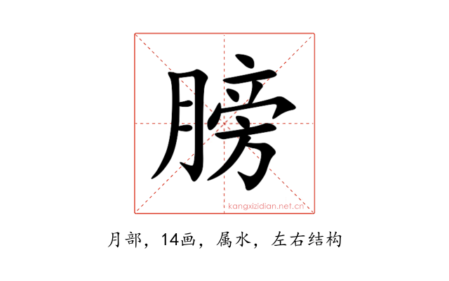 膀