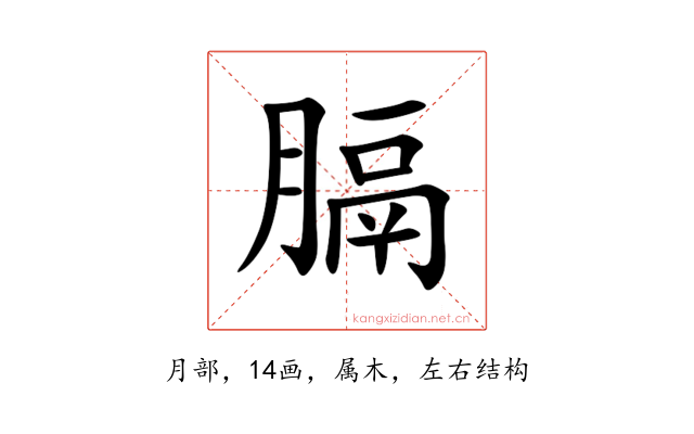 膈