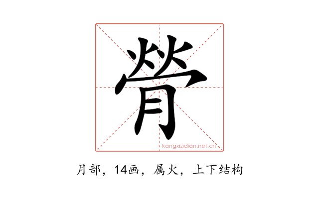膋
