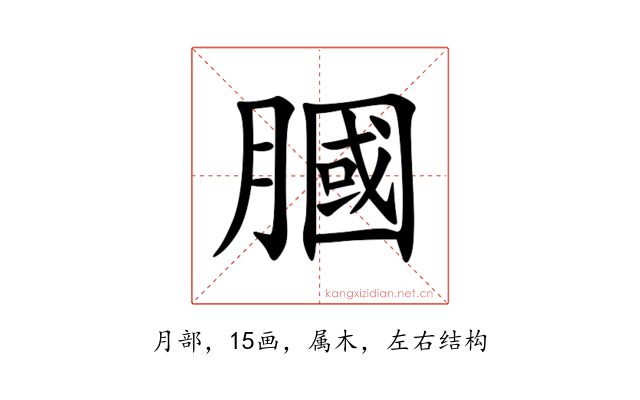 膕