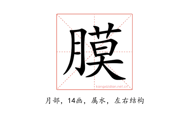 膜