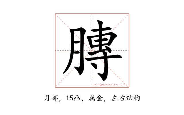 膞