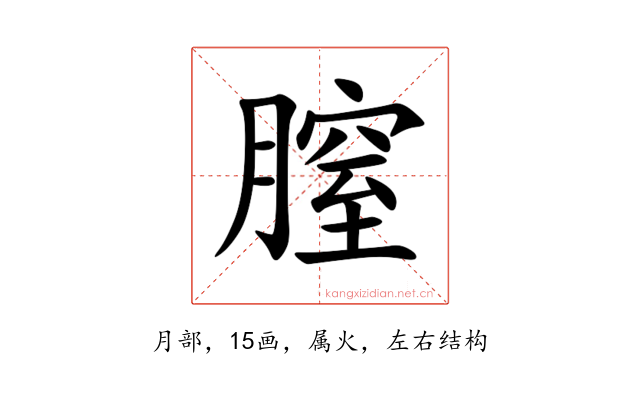 膣