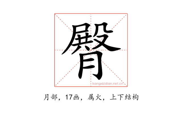 臀