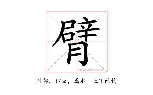 臂