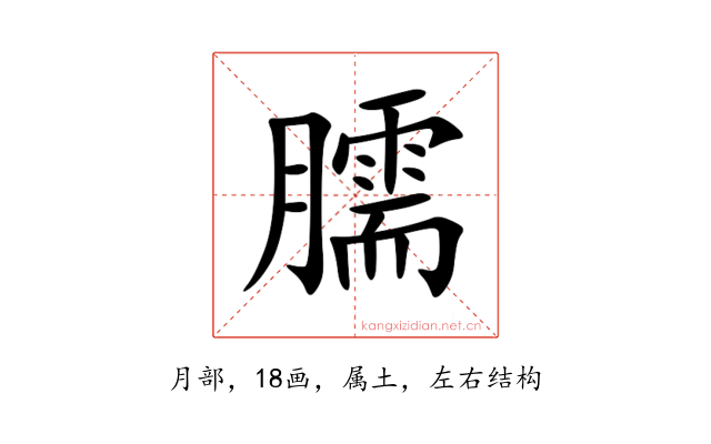 臑