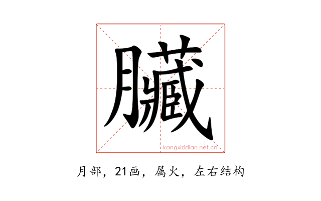 臟