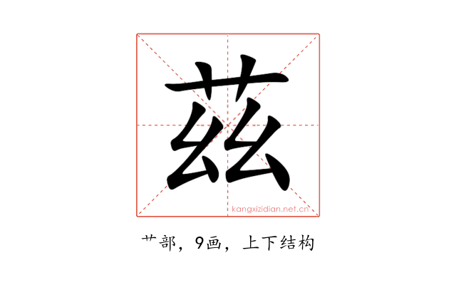茲