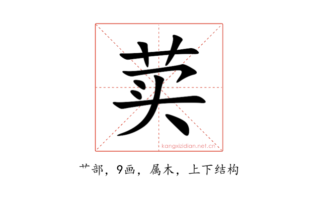 荬