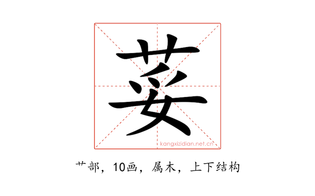 荽