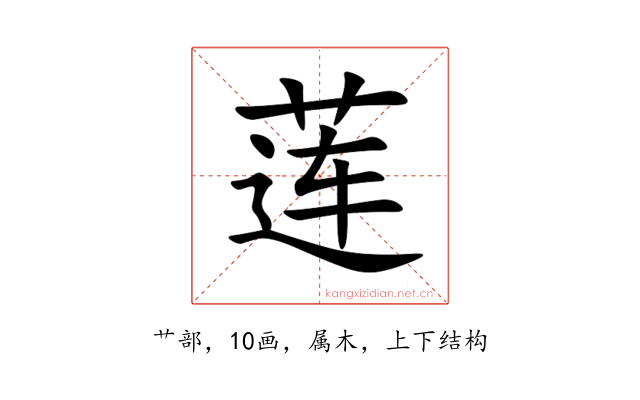 莲