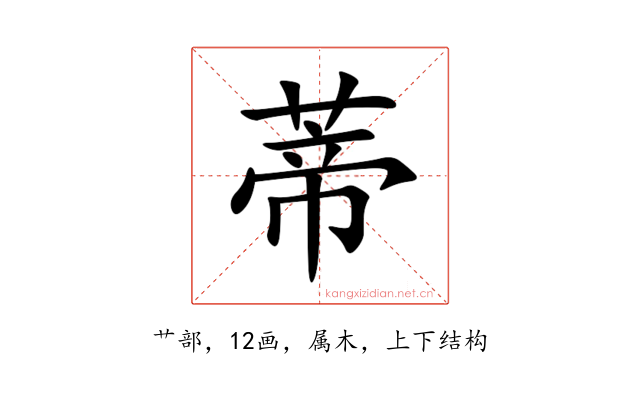 蒂