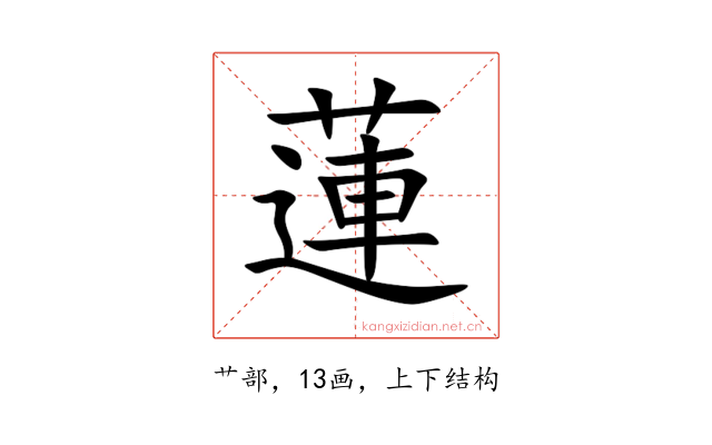 蓮