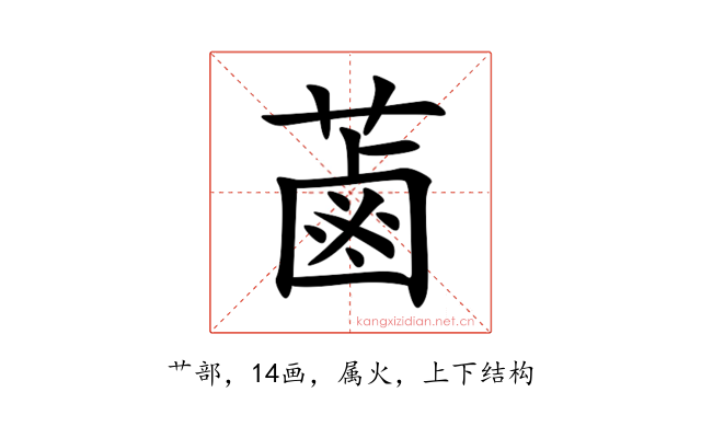 蓾