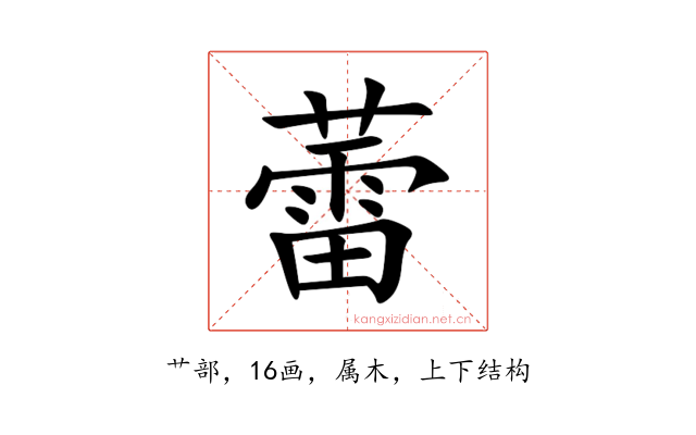 蕾