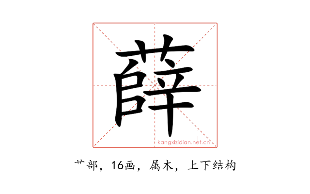 薛