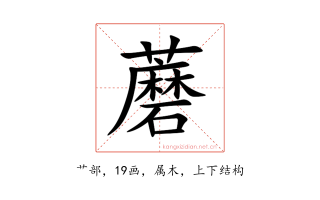 蘑