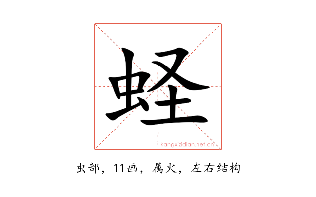 蛏