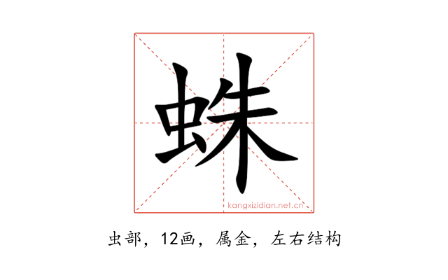 蛛
