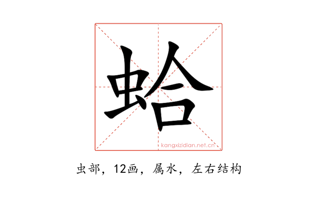 蛤
