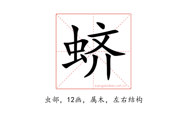 蛴