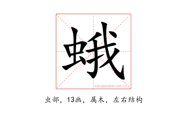 蛾