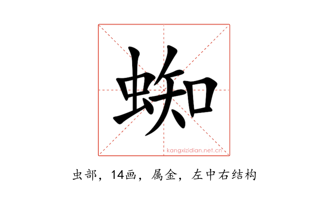 蜘