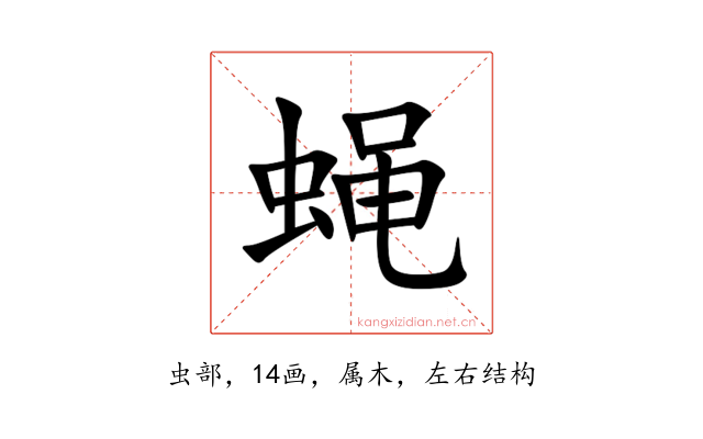 蝇