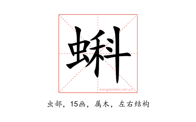 蝌