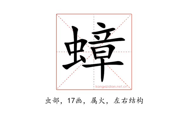蟑