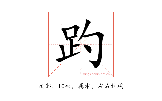 趵
