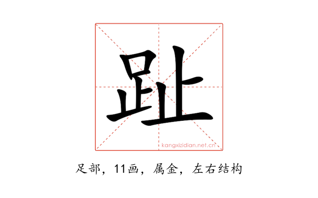 趾