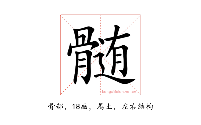 髄