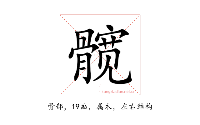髋