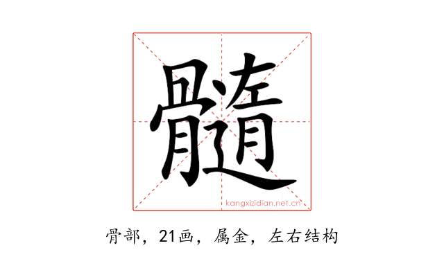 髓