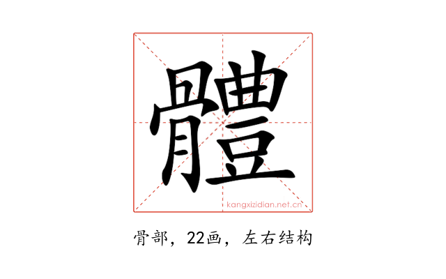 體