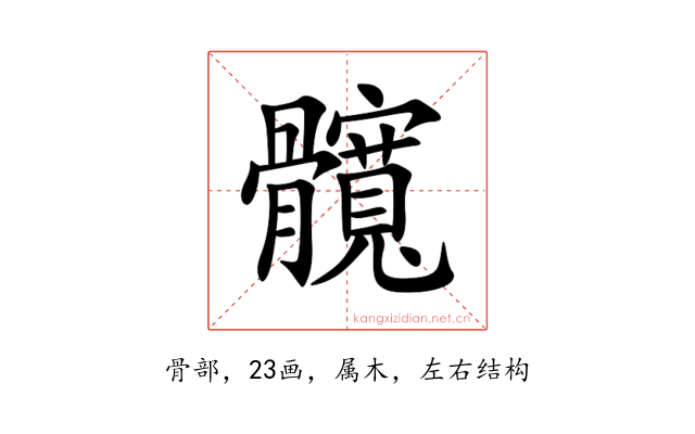 髖