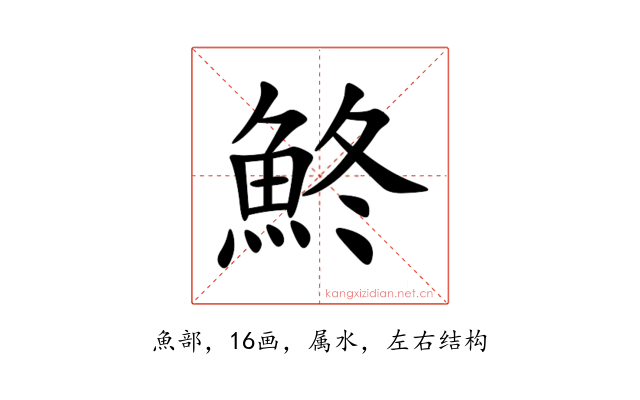 鮗