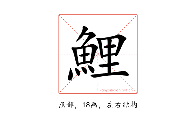 鯉