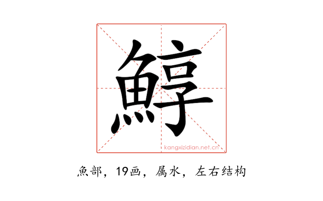 鯙