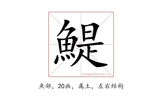 鯷
