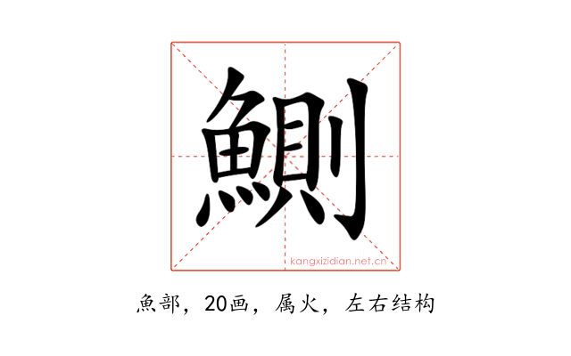 鰂