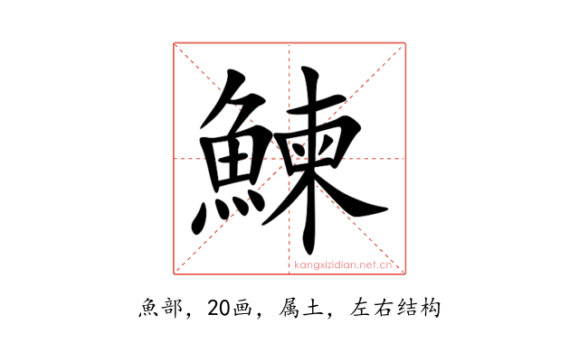 鰊