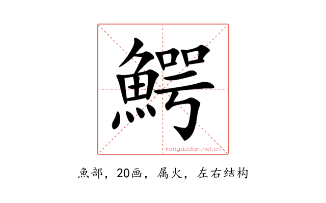 鰐