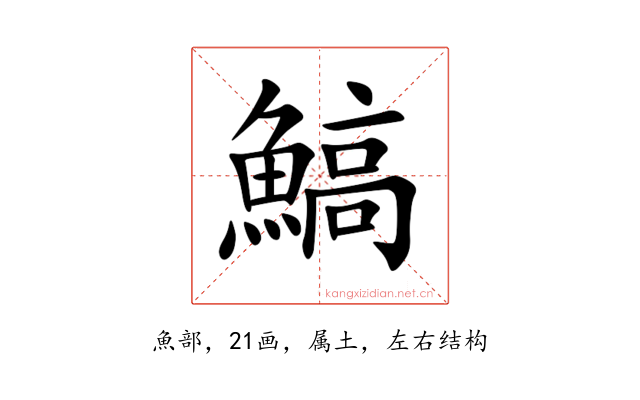 鰝
