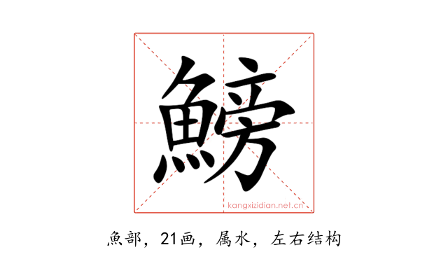 鰟