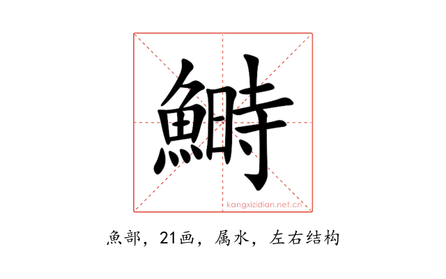 鰣