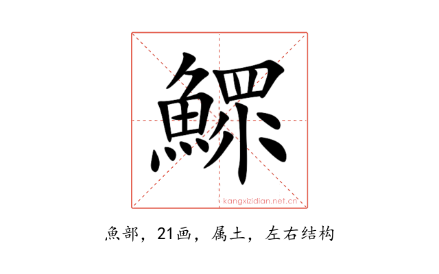 鰥